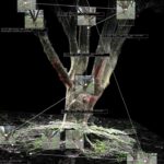 Digital Soundscapes